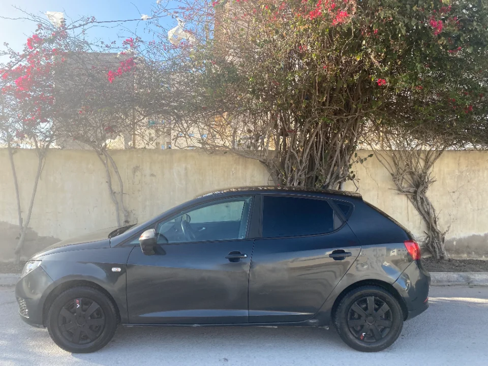 Seat Ibiza - Photo 5