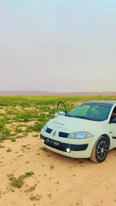 Renault Megane - Photo 4