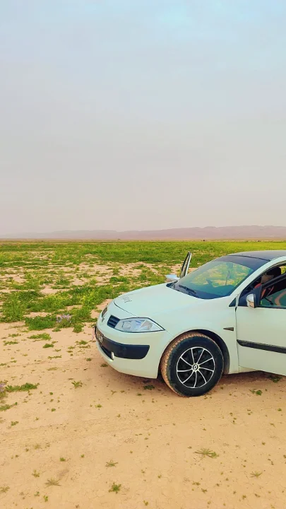 Renault Megane - Photo 2