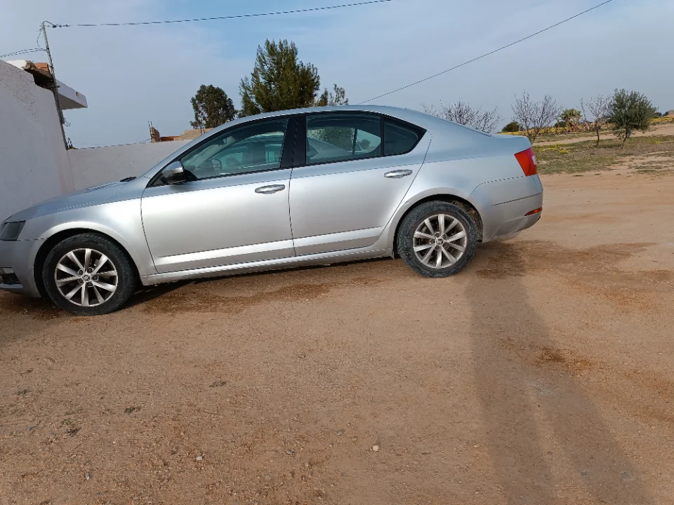 Skoda Octavia - Photo 10
