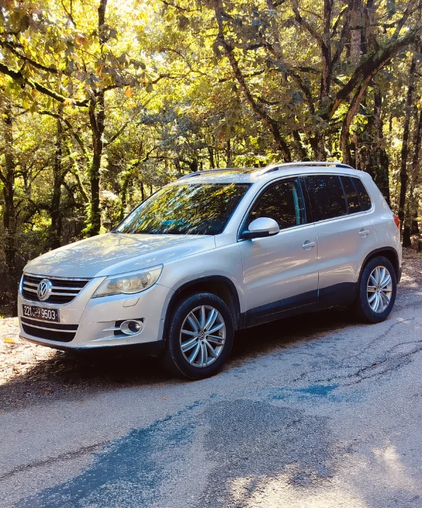 Volkswagen Tiguan 2010