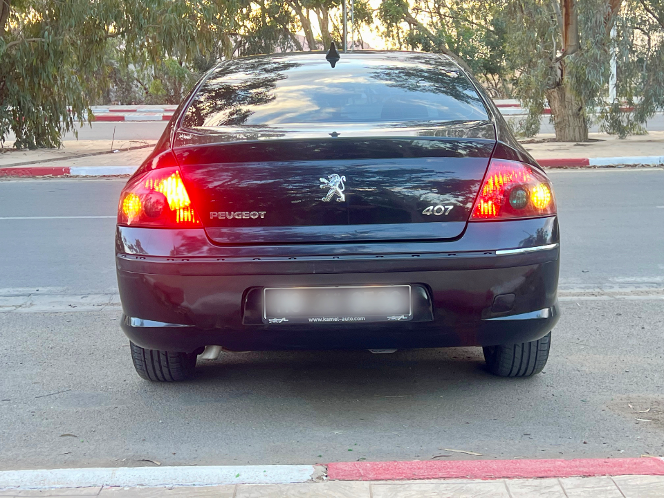 Peugeot 407 - Photo 10