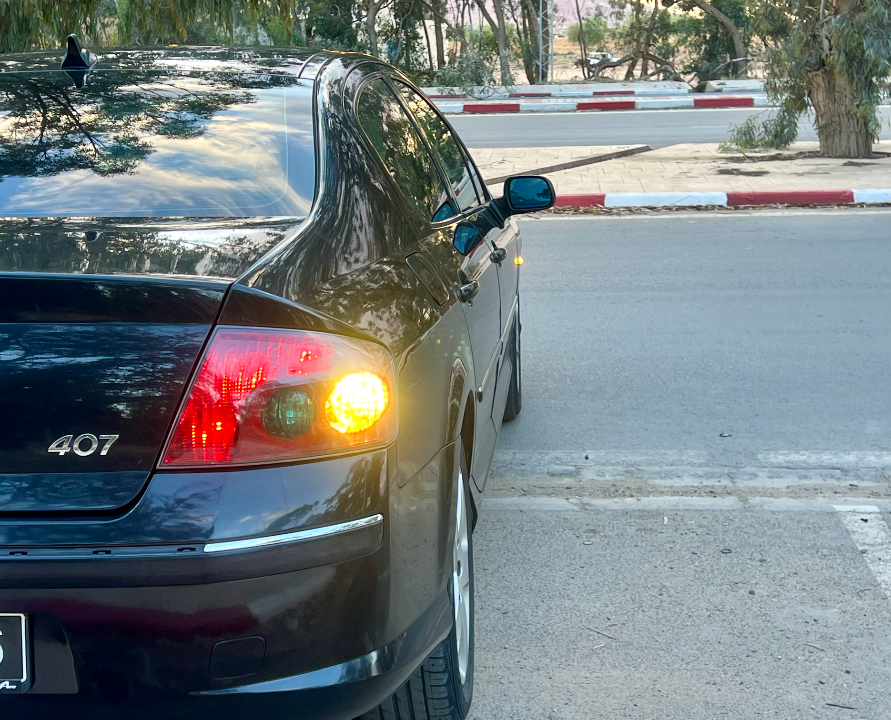 Peugeot 407 - Photo 2