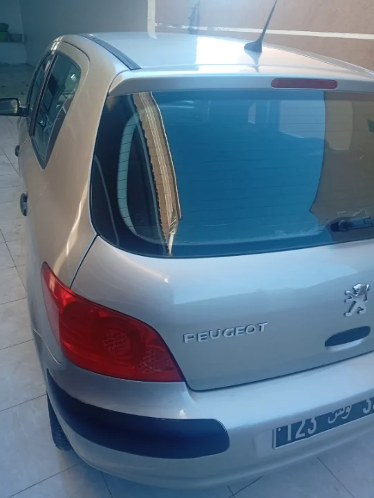 Peugeot 307 - Photo 8