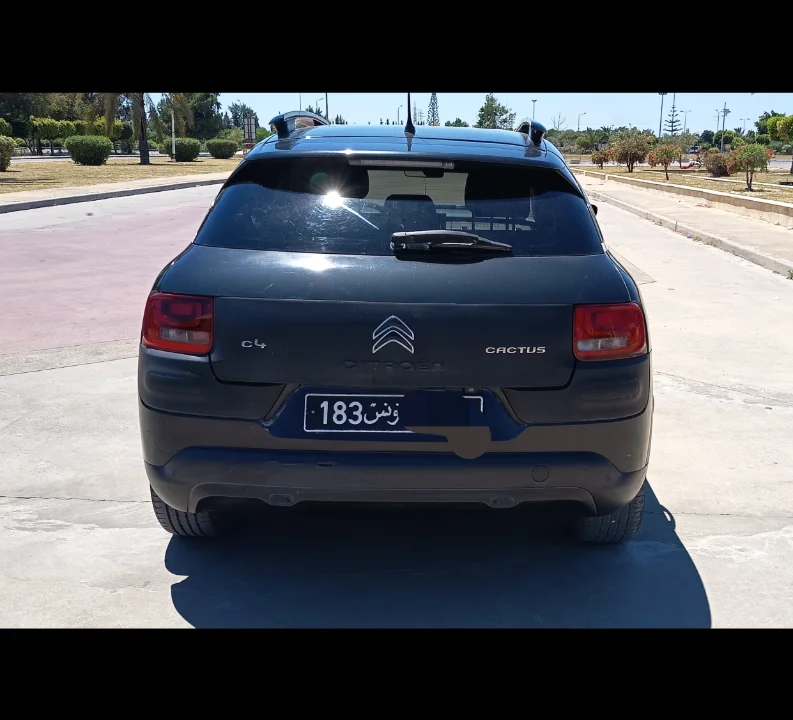 Citroen C4 CACTUS - Photo 5
