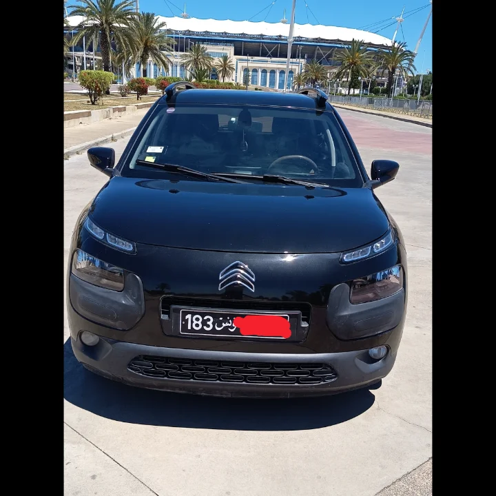 Citroen C4 CACTUS 2015