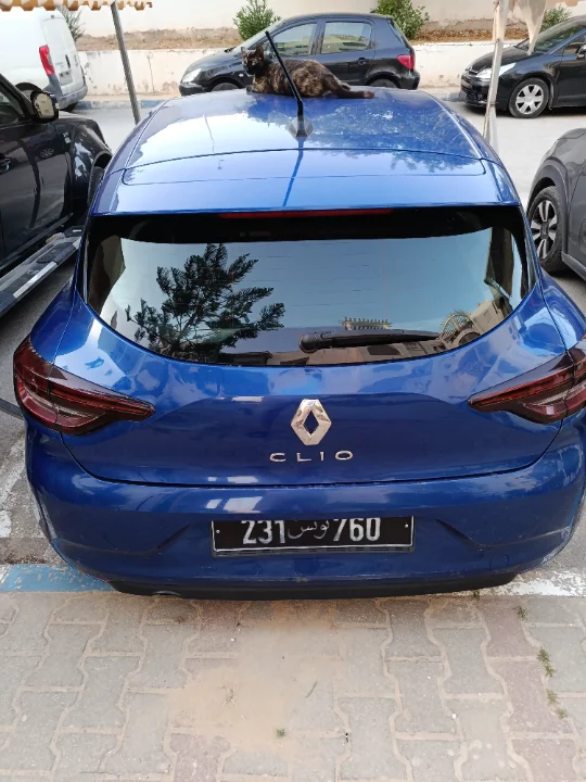 Renault Clio - Photo 8