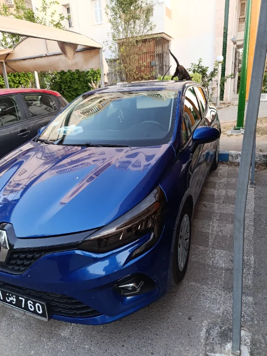 Renault Clio - Photo 7