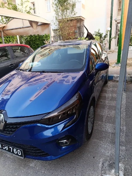 Renault Clio - Photo 7