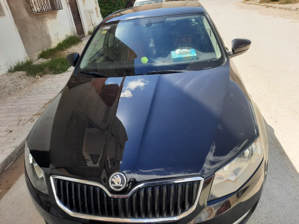 Skoda Octavia - Photo 6