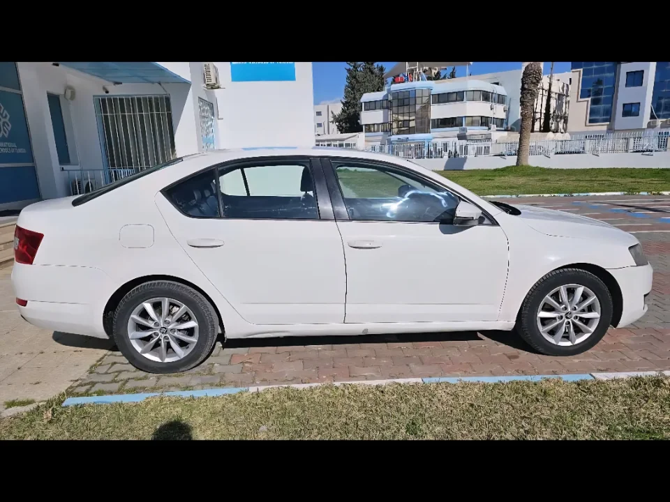 Skoda Octavia - Photo 10