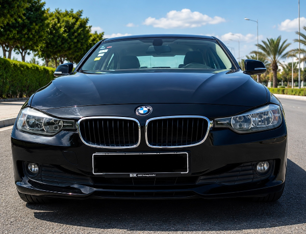 Bmw 316 2013 Essence 