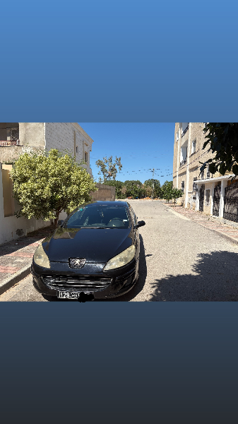 Peugeot 407 2009 Diesel
