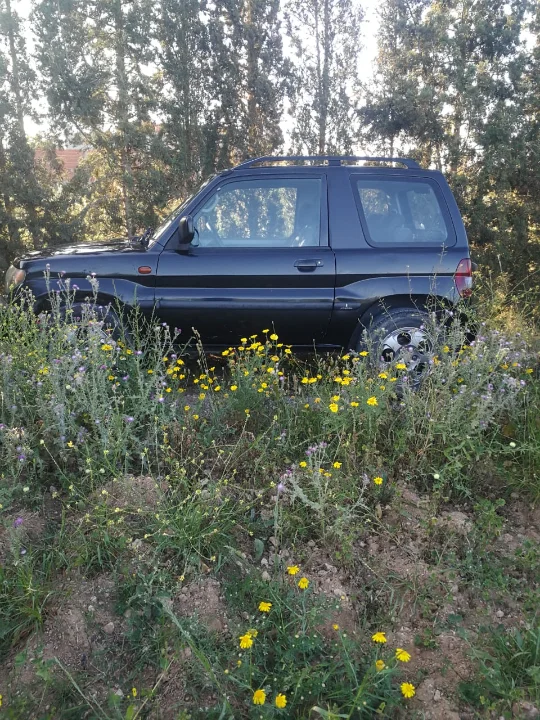 Mitsubishi Pajero Pinin - Photo 3