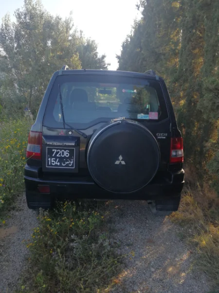 Mitsubishi Pajero Pinin - Photo 2