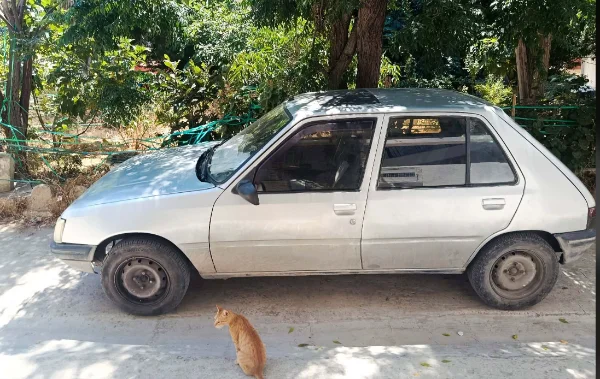 Peugeot 205 1992 Essence
