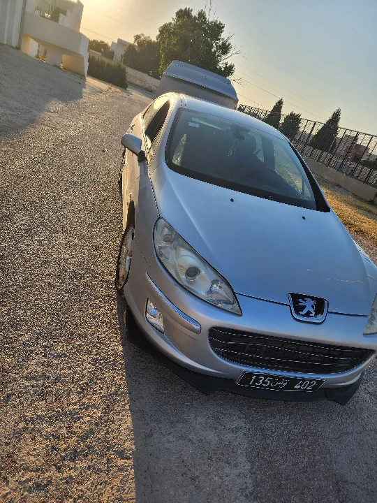 Peugeot 407 2008