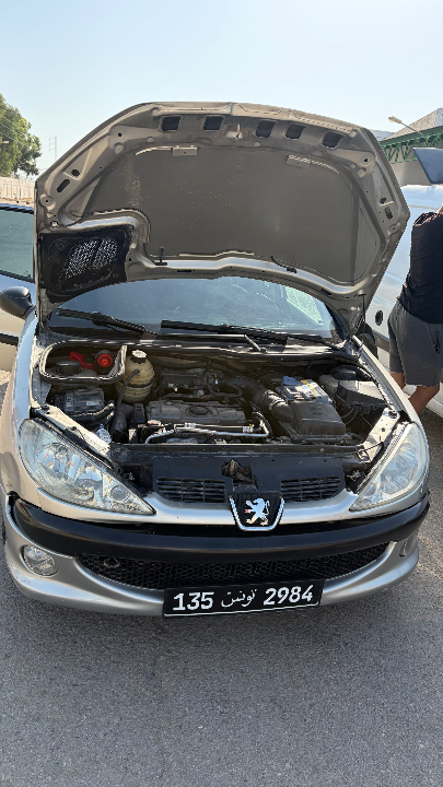 Peugeot 206 2008