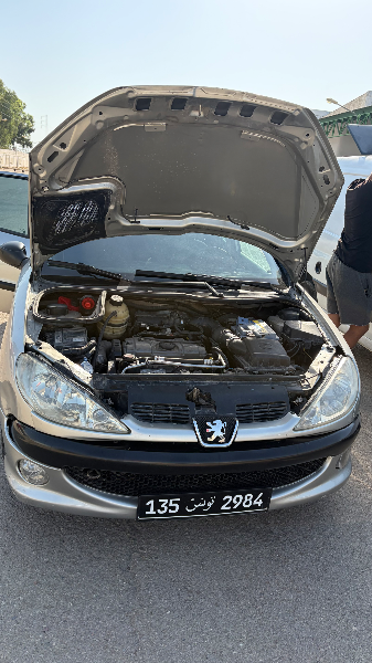 Peugeot 206 2008 Essence