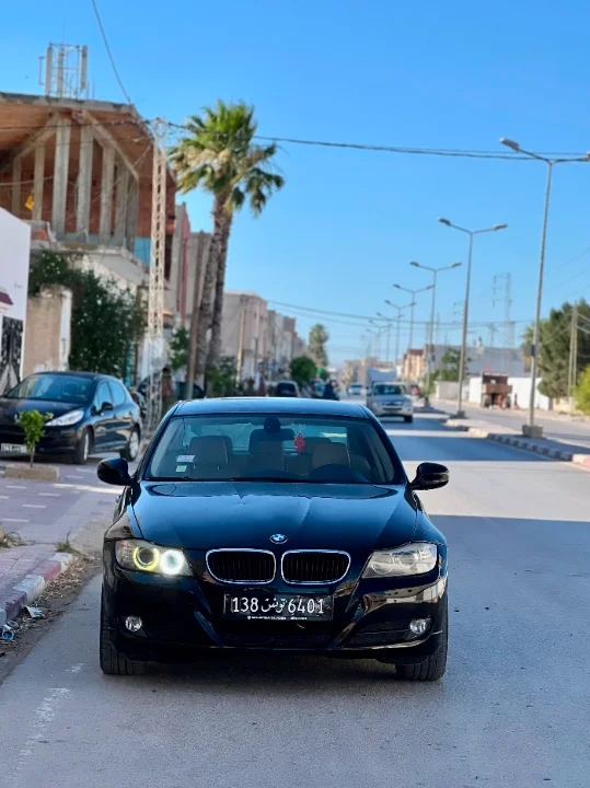 Bmw 316 2010