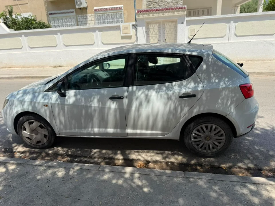 Seat Ibiza - Photo 10