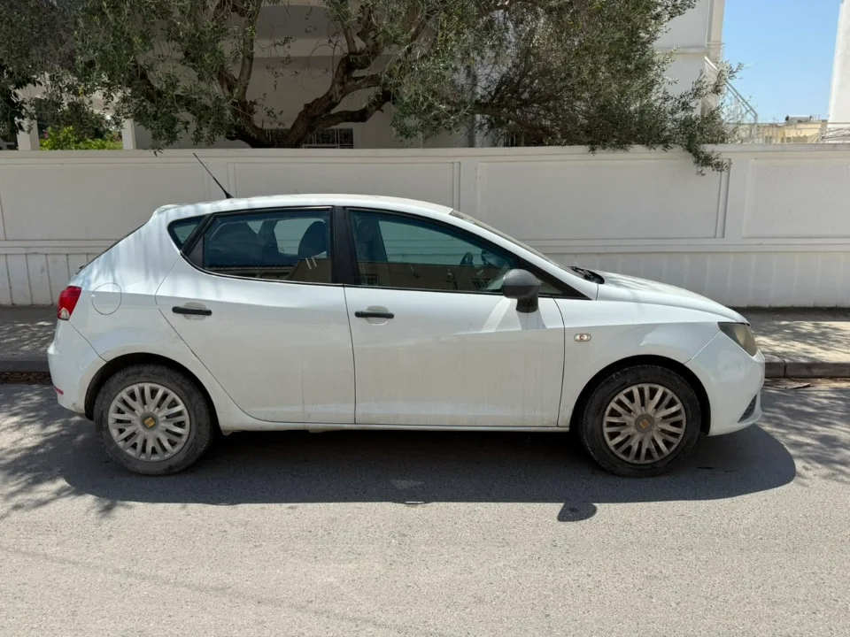 Seat Ibiza - Photo 6