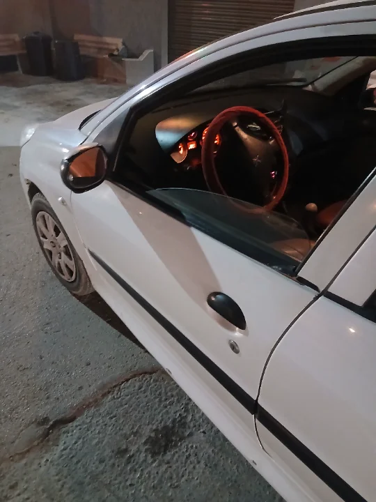 Peugeot 206 - Photo 4