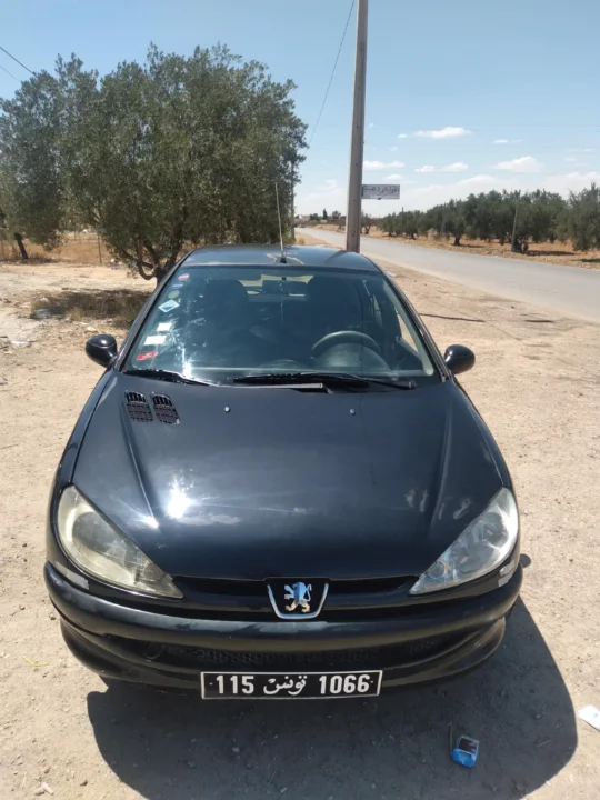 Peugeot 206 2004