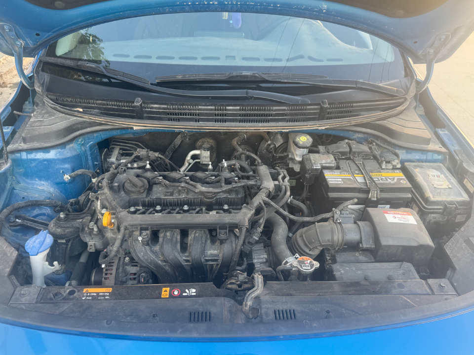 Kia RIO - Photo 3