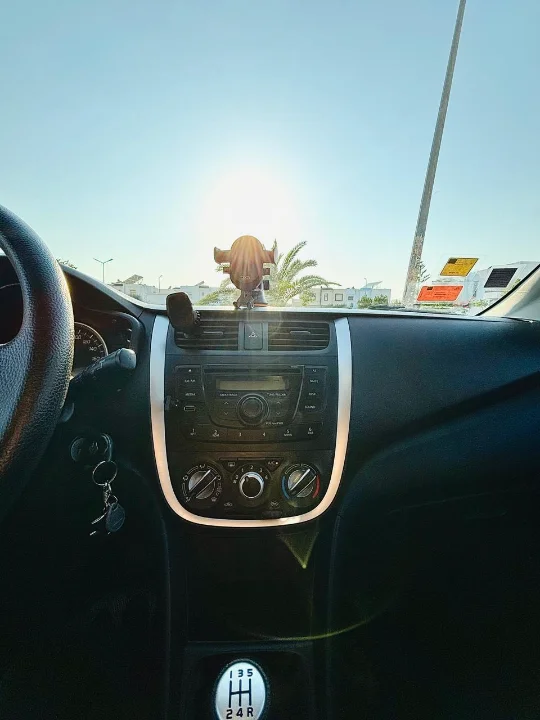 Suzuki Celerio - Photo 2