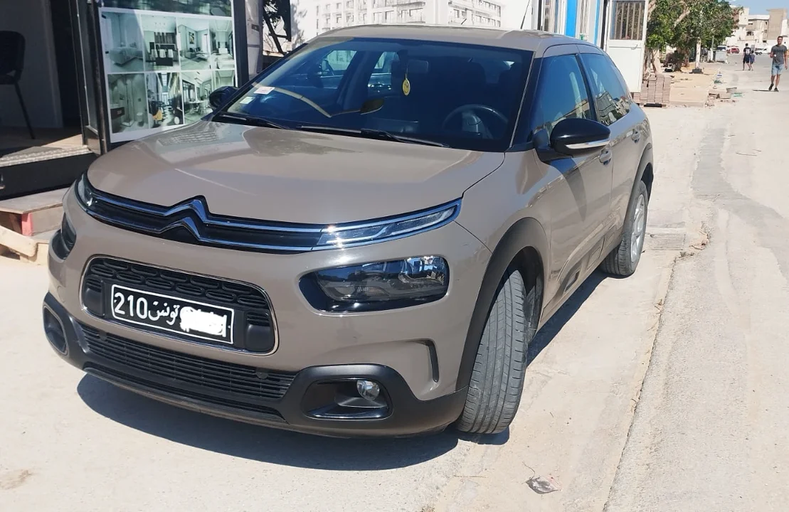 Citroen C4 CACTUS 2019