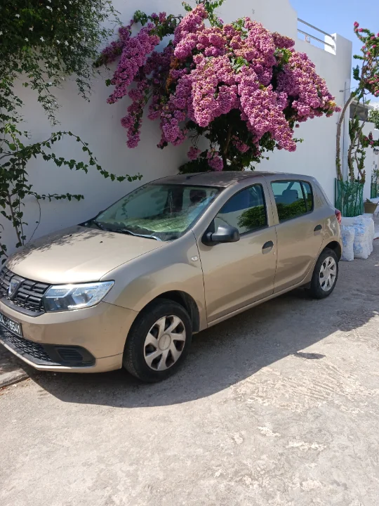 Dacia SANDERO - Photo 3