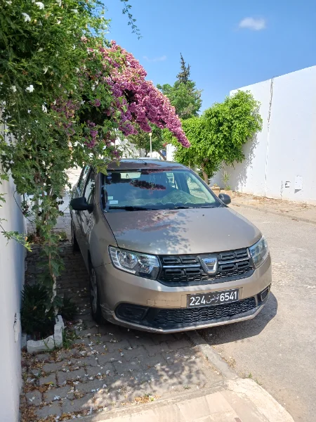 Dacia Sandero 2021 Essence