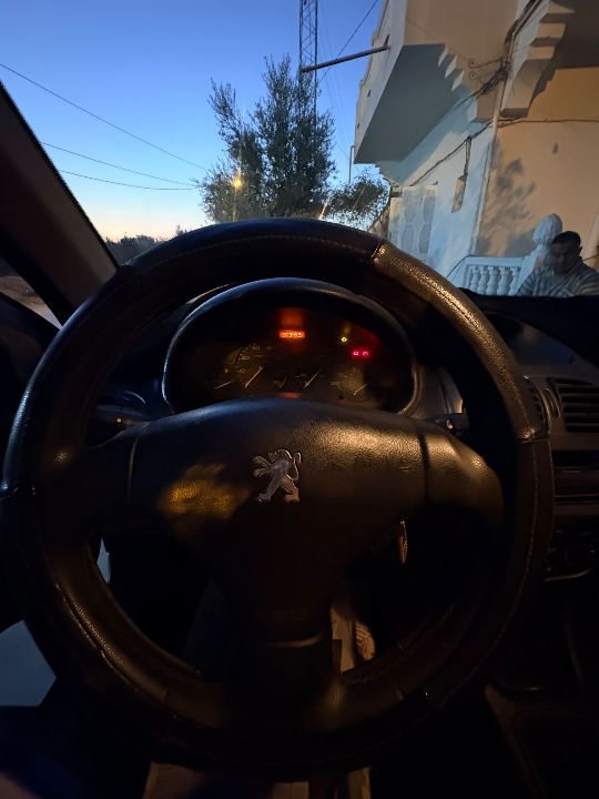Peugeot 206 - Photo 4