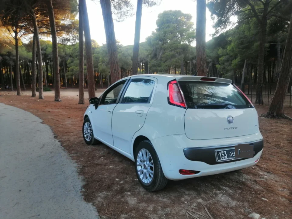 Fiat PUNTO EVO - Photo 4