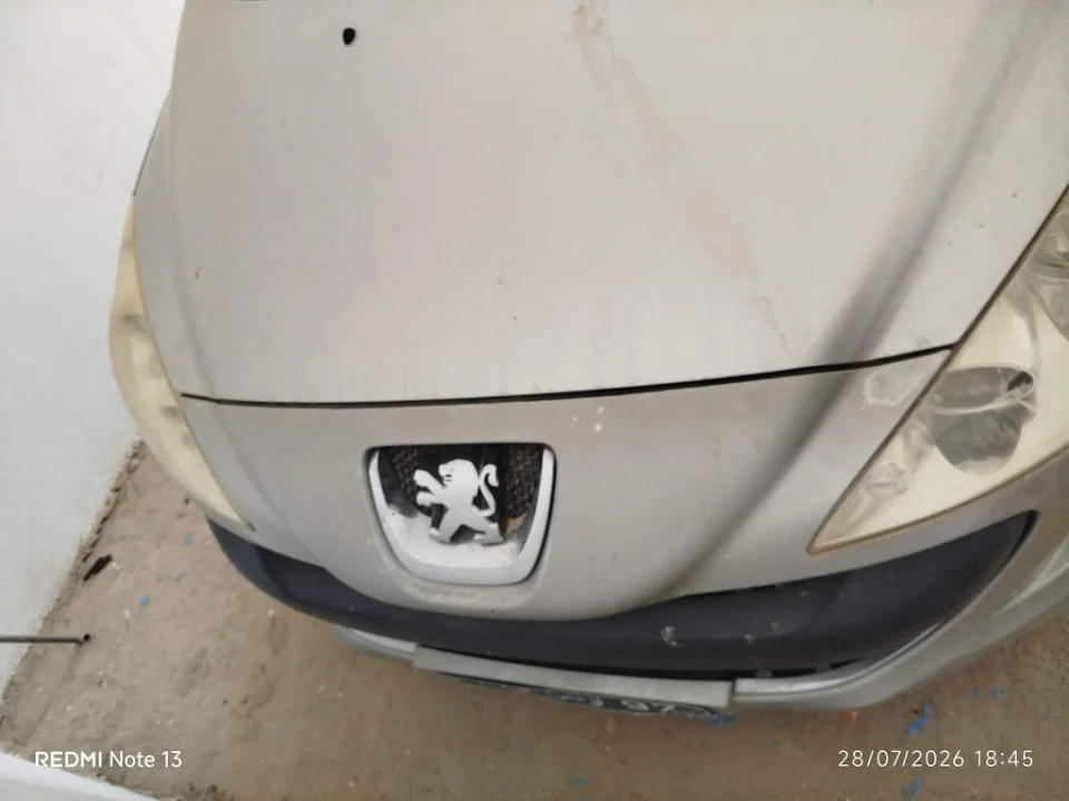 Peugeot 3008 - Photo 6