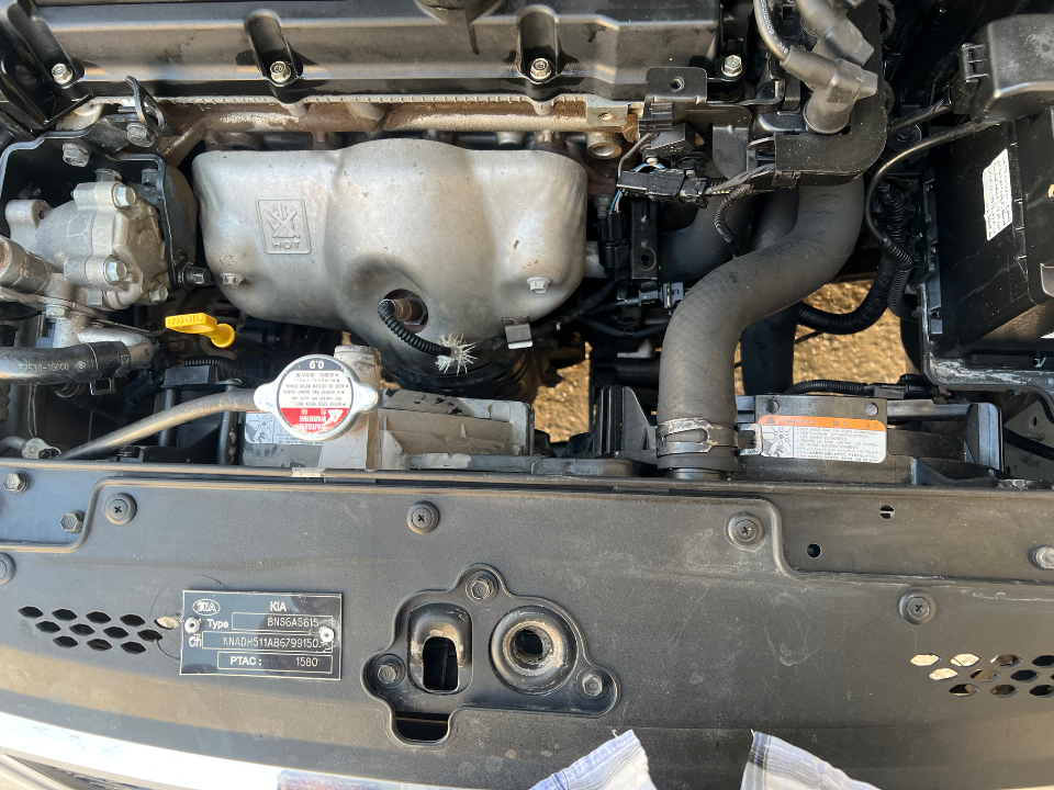 Kia RIO - Photo 11