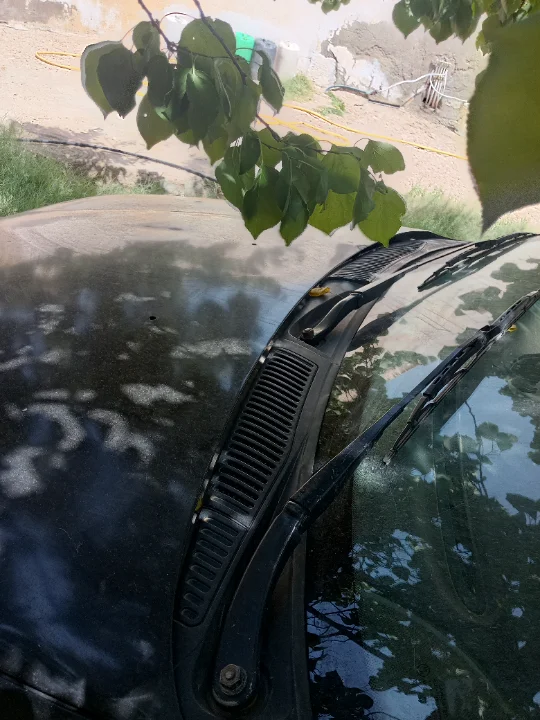 Renault Megane - Photo 5