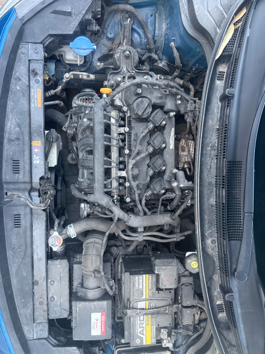 Kia RIO - Photo 2