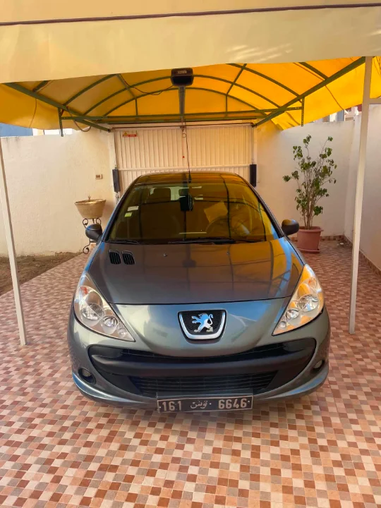 Peugeot Autres 2010