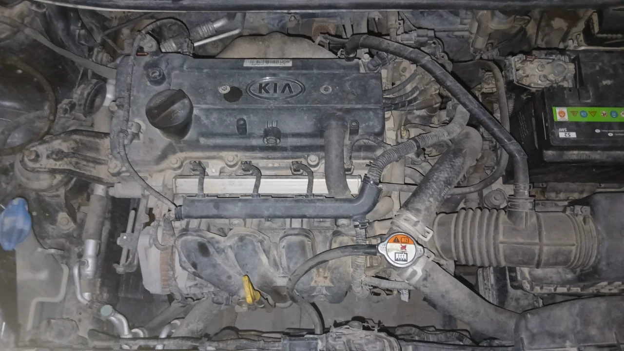 Kia RIO - Photo 8