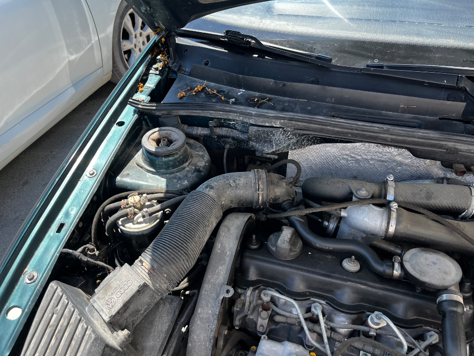 Volkswagen Vento - Photo 4