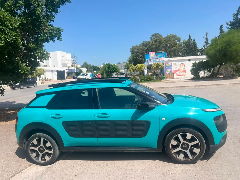 Citroen C4 CACTUS - Photo 4