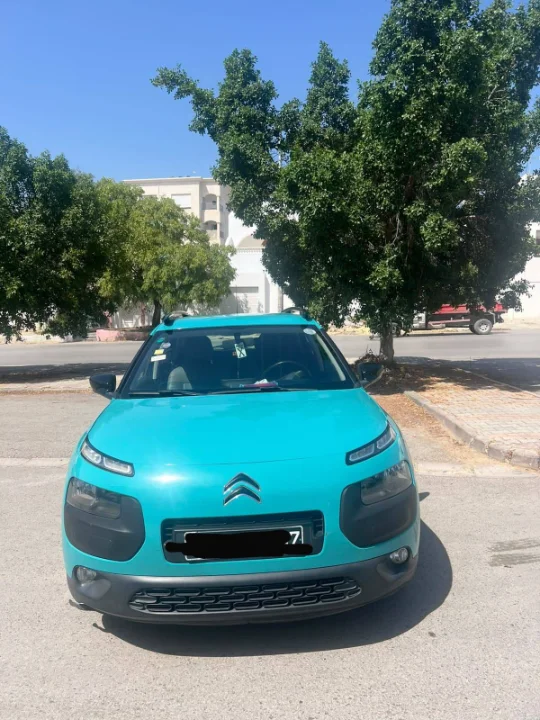 Citroen C4 CACTUS 2015