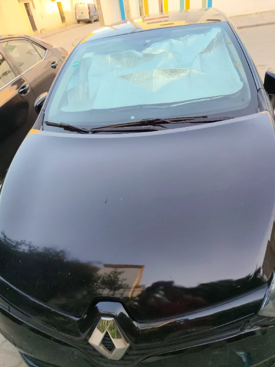 Renault Clio 2019