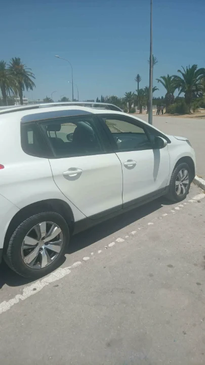 Peugeot 2008 - Photo 8