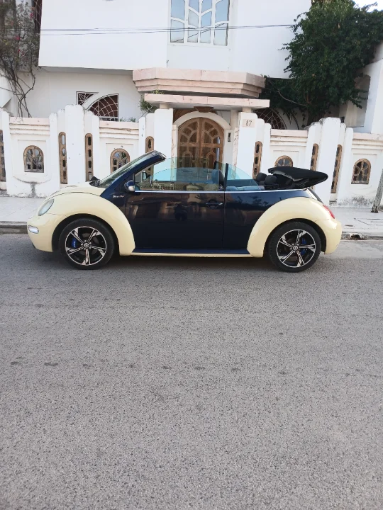 Volkswagen New Beetle - Photo 12