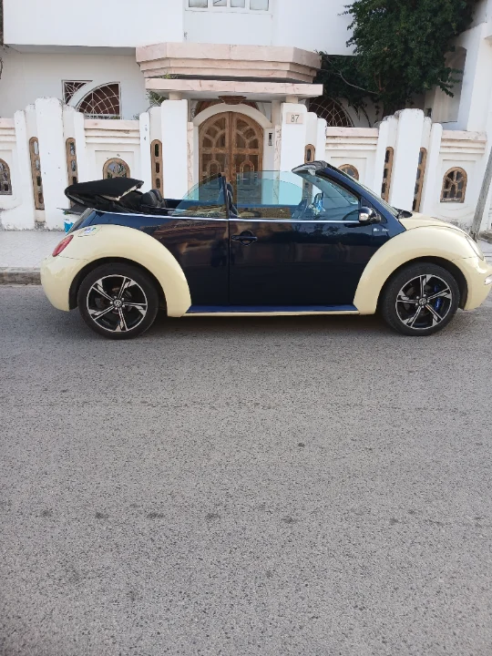 Volkswagen New Beetle - Photo 11
