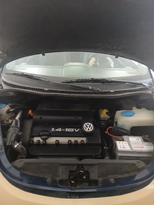 Volkswagen New Beetle - Photo 4