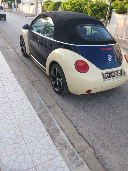 Volkswagen New Beetle - Photo 3